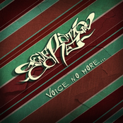 Voice no more... (promo)
