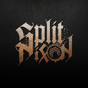 Rockstar Congressman - Single