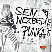 Sen nezbedného punka