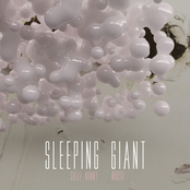 Shelf Nunny: Sleeping Giant