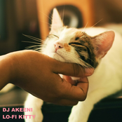 lo-fi kitty