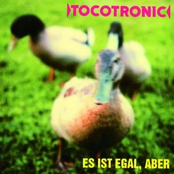 Es Ist Egal, Aber by Tocotronic