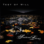 Scattered Leaves