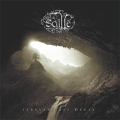 Passages Of The Nemesis by Saille