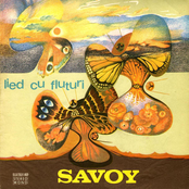 Lied Cu Fluturi by Savoy