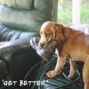 Get Better - Single