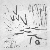 orbital surface of orbital plate