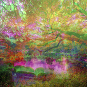 SKYBOXワンダーランド