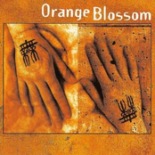 I'm Dying by Orange Blossom