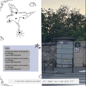 a long form attack on the senses, or i thought i was a high flying bird