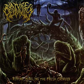 Ripping, Mangling The Fresh Cadaver