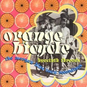 Hyacinth Threads: The Morgan Blue Town Recordings (disc 2)