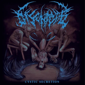 Disentomb: Cystic Secretion