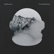 Split LP- This World Has Bees