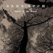 Spirit of the Forest