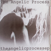 theangelicprocess