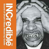 INCredible Sound of Drum 'n' Bass