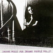 Insane Music For Insane People Vol. 21
