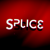 Splice