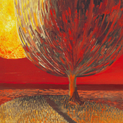 Asking for Some Time