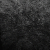 Желчь и страх