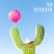 no disdain