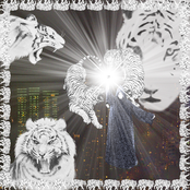 White Tiger Album Picture