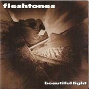 Mushroom Cloud by The Fleshtones