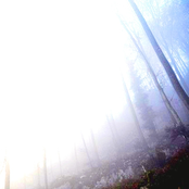 birds pecked out my eye sockets