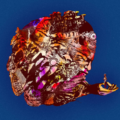 Psychedelics Wrote the Bible