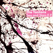 Syrup by The Tontons