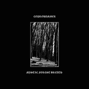 Mystic Forest Breath