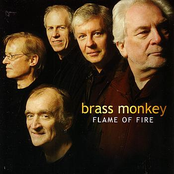 A Brisk Young Widow by Brass Monkey