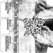 ...And The Bleeding in Your Lungs. - Single