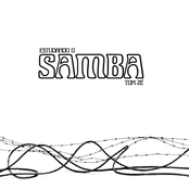 Tom Ze: Estudando o samba