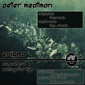 Peter Meatman - Somewhere Waiting for Him (Leslie Moor Remix)