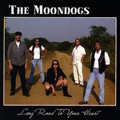 The Moondogs: Long Road To Your Heart