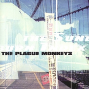 Over by The Plague Monkeys