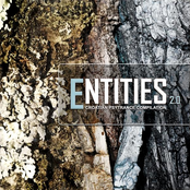 Entities 2