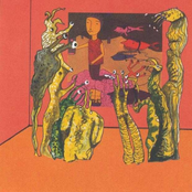 The Ducks and Drakes of Guapo and Cerberus Shoal