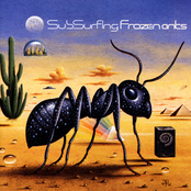 Frozen Ants by Subsurfing