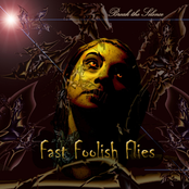 Mary by Fast Foolish Flies