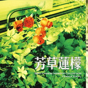 芳草莲檬