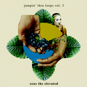Jumpin' Thru Loops, Vol 3.