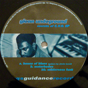 Wilderness Funk by Glenn Underground