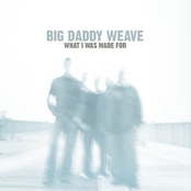 Just The Way I Am by Big Daddy Weave