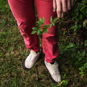 Homemade Haircuts: Fairy Tale