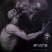 Intercelullar Fragmentation