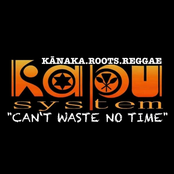 Canʻt Waste No Time - Single