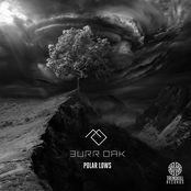 Polar Lows - Single